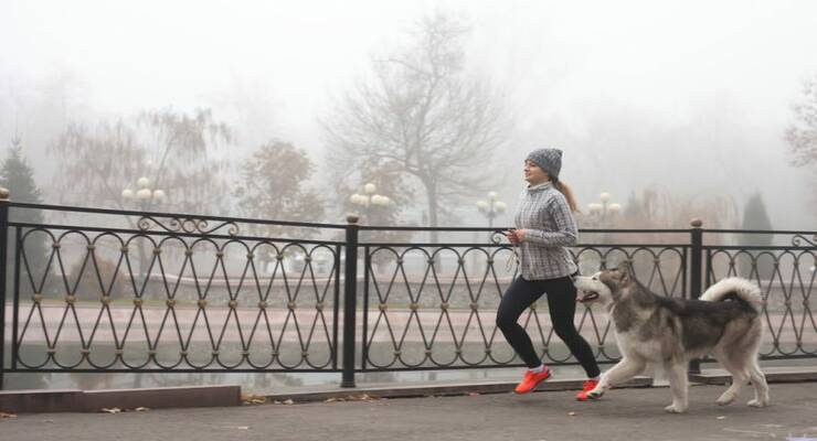 Фото к статье: На улице или в зале: как тренироваться бегуну поздней осенью