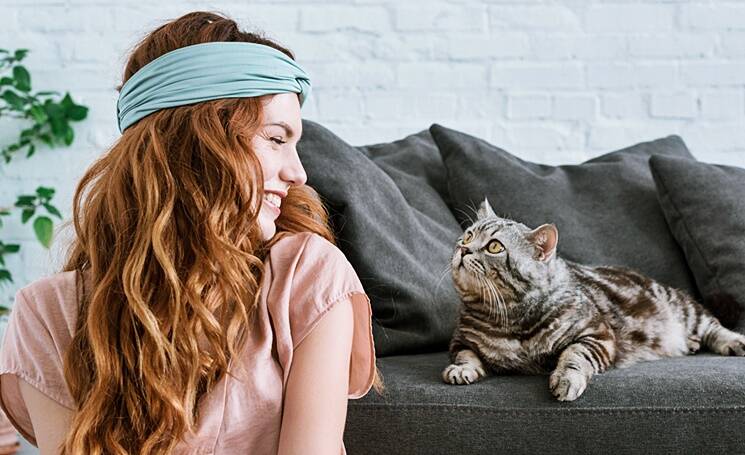 Какой породы кошка вам подходит?