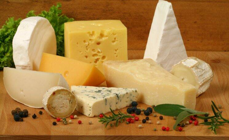 Какой вы сыр