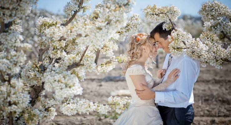 Фото к статье: Почему свадьба в мае — это прекрасно, а не «всю жизнь маяться»