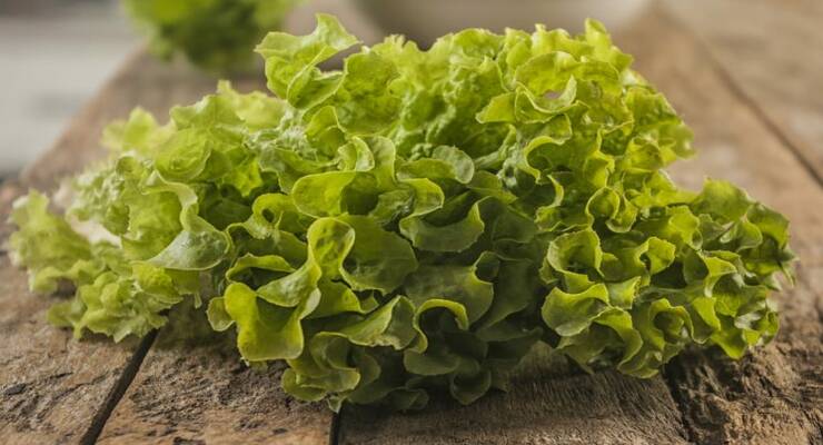 Фото к статье: Чем полезен листовой салат