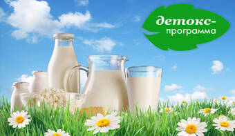 Летний детокс // 2 неделя. Питание // Возвращаем молочные продукты