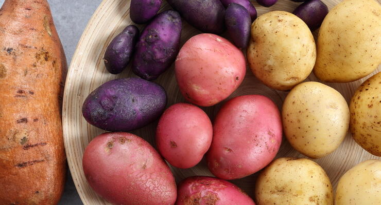 Фото к статье: Какой картофель лучше: сладкий или обычный