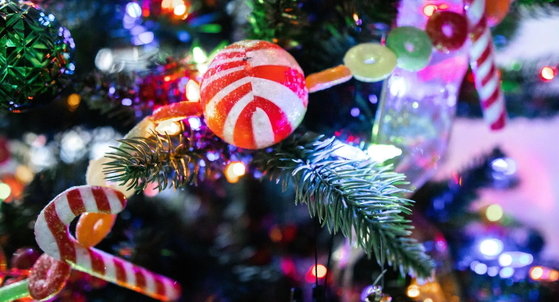 Фото к статье: Что приготовить на Новый год: праздничное меню от фитнес-тренеров, нутрициологов и врачей