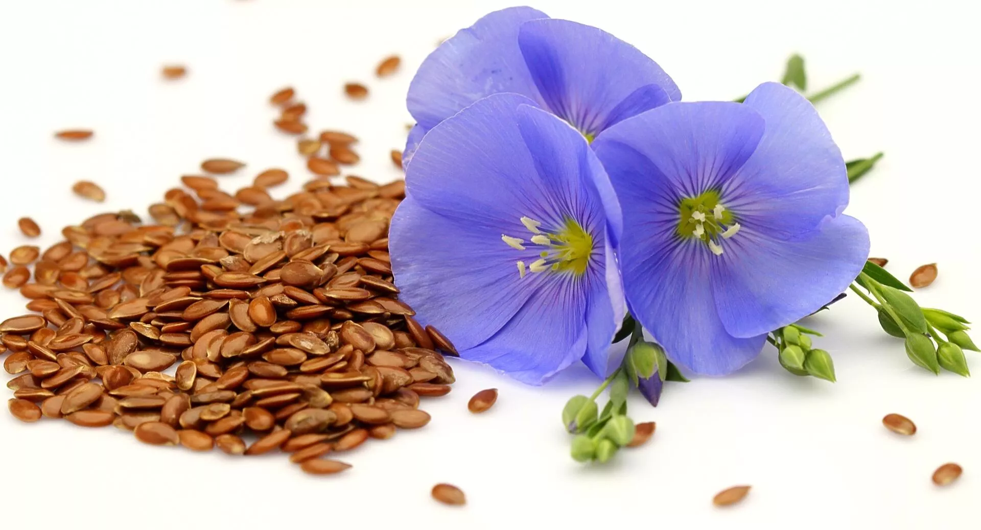 Фото к статье: Как принимать семена льна для похудения