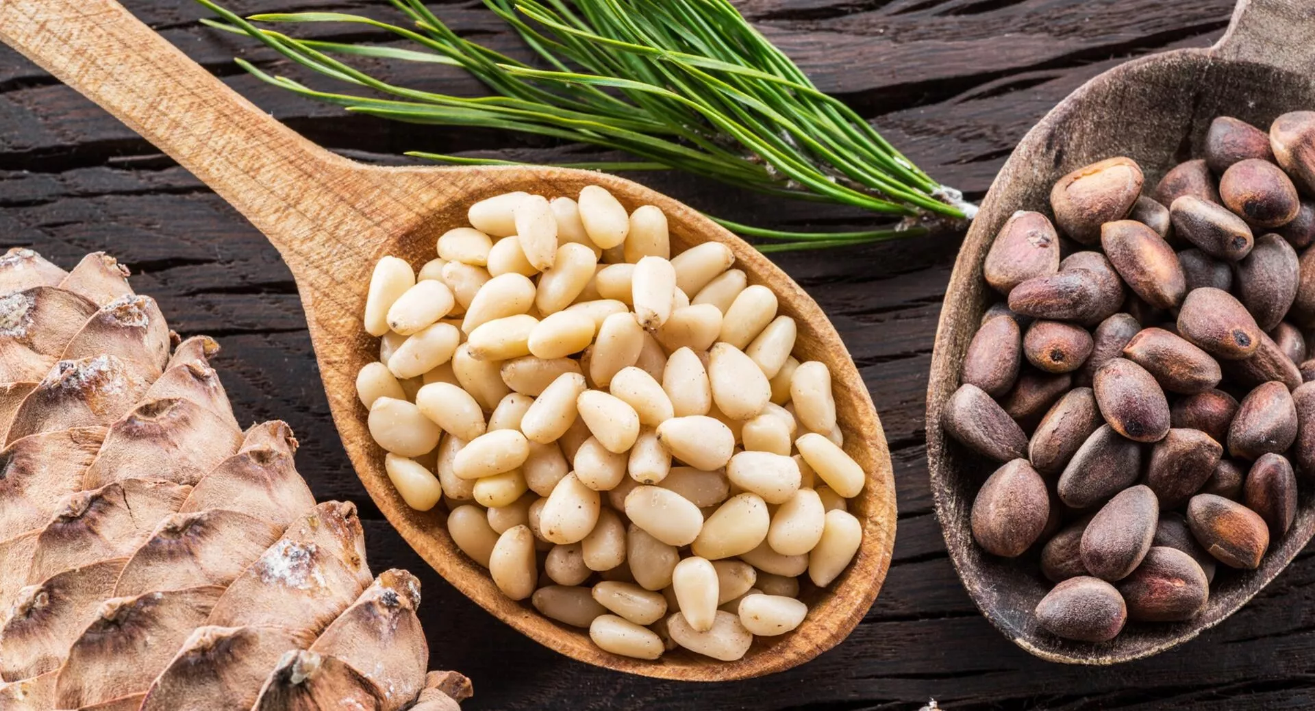 Фото к статье: Чем полезны кедровые орехи и сколько их можно есть в день